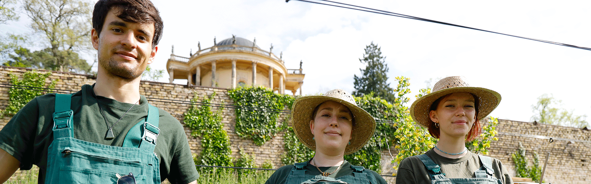 FSJler im Bereich Garten- und Landschaftspflege bei der Arbeit auf dem Königlichen Weinberg in Potsdam