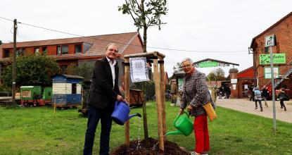 Der Mosaik-Geschäftsführer gießt den neuen Baum.