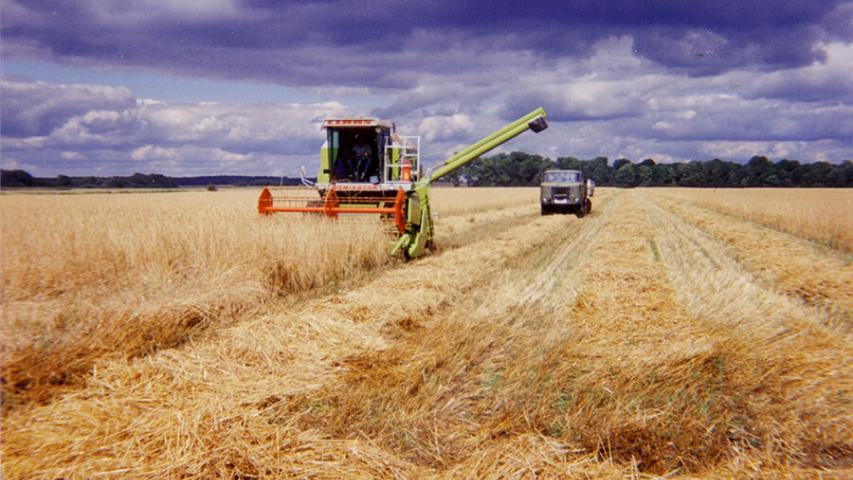 1992 - Getreideernte auf den Feldern vom Ökohof Kuhhorst