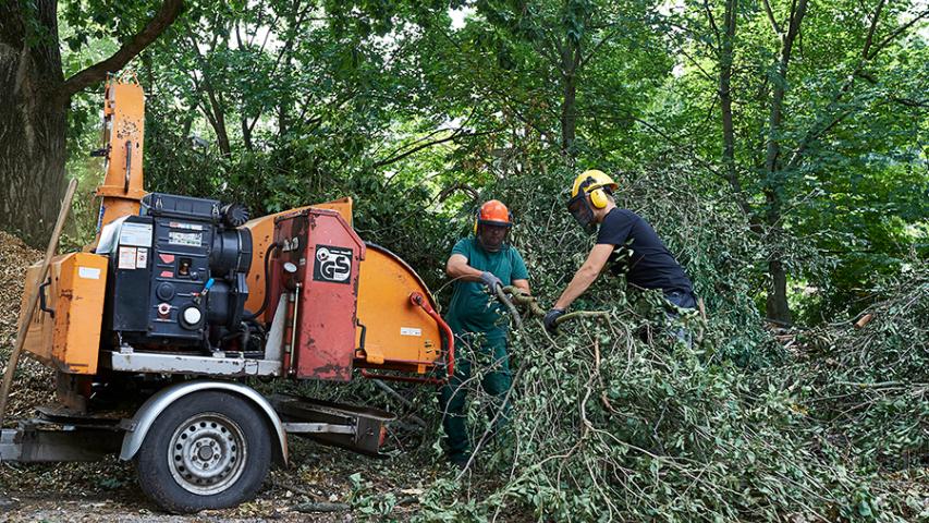 Zwei Mitarbeiter der Garten- und Landschaftspflege schreddern Baumschnitt