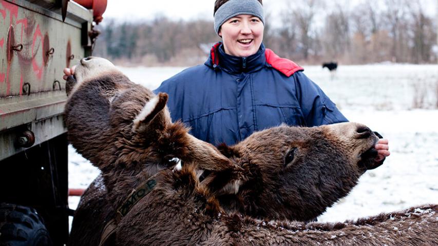 Mitarbeiterin vom Ökohof Kuhhorst mit zwei Eseln